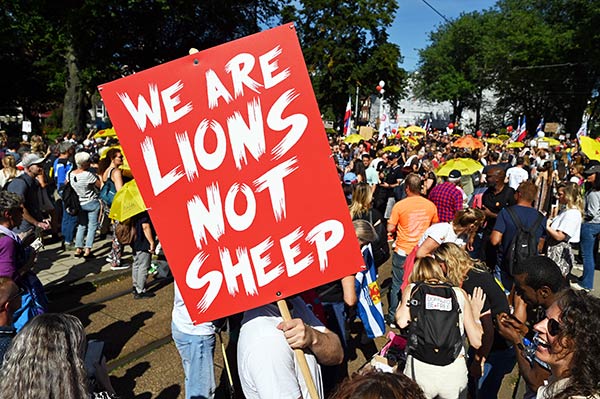 lions not sheep