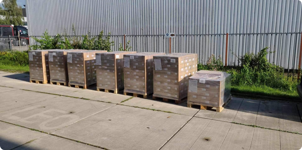 Wave of awakening will hit Europe, as one million flyers will be distributed by a thousand people