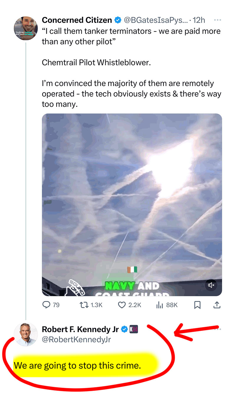 robert kennedy chemtrails