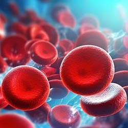 blood-cells