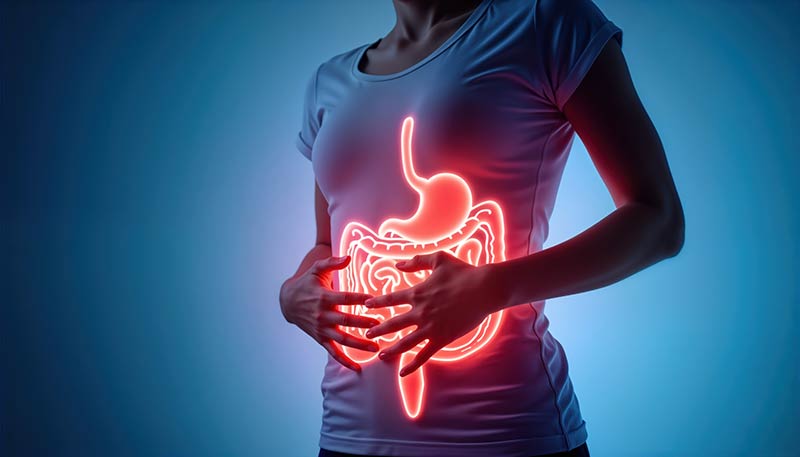 gut-body