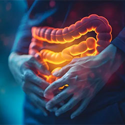 intestines