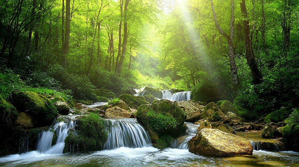 living-water-creek